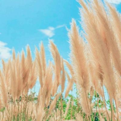 展会预告 | 3月25日-27日，igus...