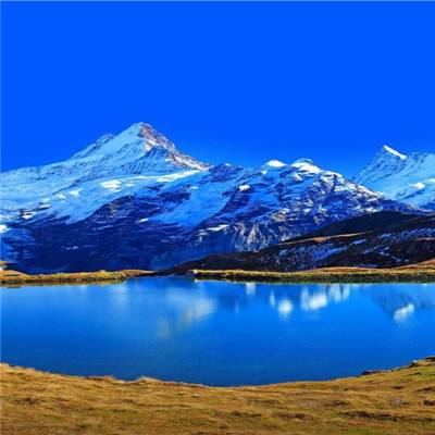 亚盈APP下载(综合)APP下载安装IOS正式版