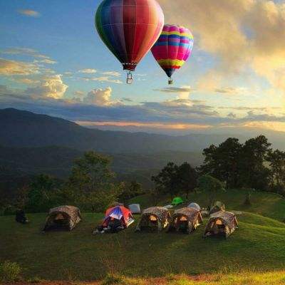 免费领养背后的“猫贷”陷阱，你避开了吗？