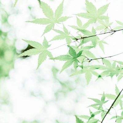 美股散户投资者本月标普500指数下跌近5%之际净卖出2060万美元