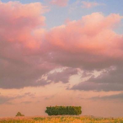 锚定“十五五”新蓝图 筑牢时空...