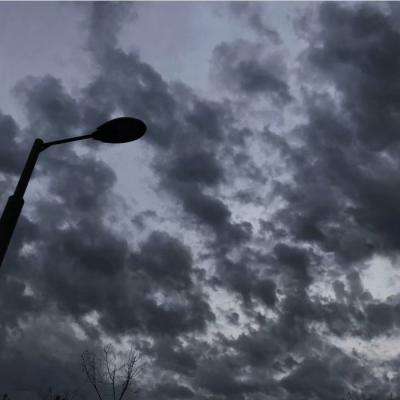 爱吃荔枝的人“天塌了”