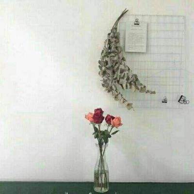叫我锦衣卫