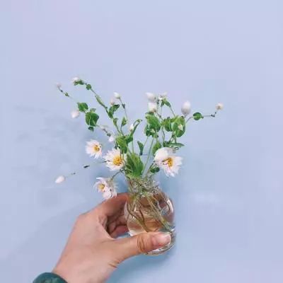乐鱼体育网址登录
