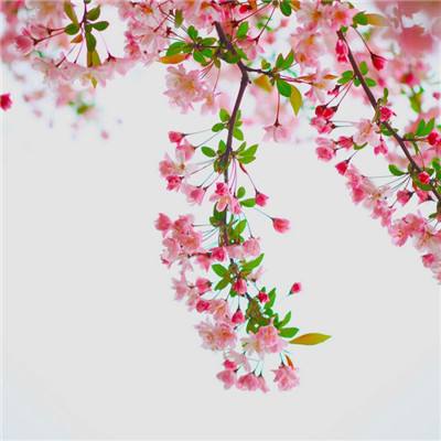 开盘：美股周二低开 伊朗冲突仍在持续