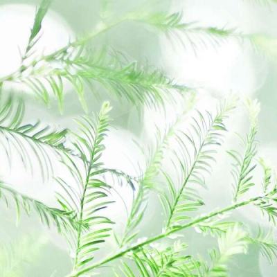 房地产项目计提减值后 去年豫园股份亏损49亿元