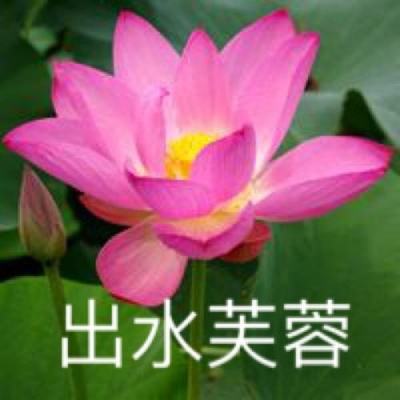 “小龙虾”别瞎“吃”！这份OpenClaw使用指南请收好（附图片）