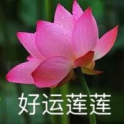乐鱼体育官方客服
